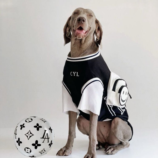 Dog Summer Comfort Shirt