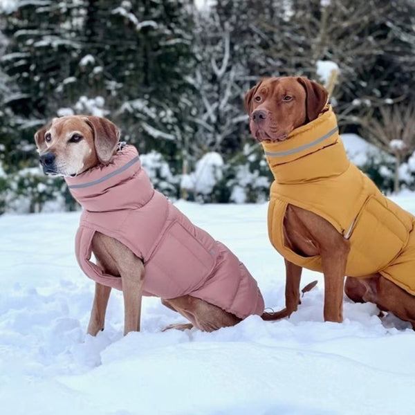 Windproof Waterproof Dog Raincoat