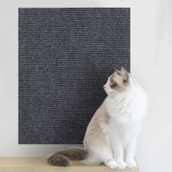 Scratch Protection Wall Sticker