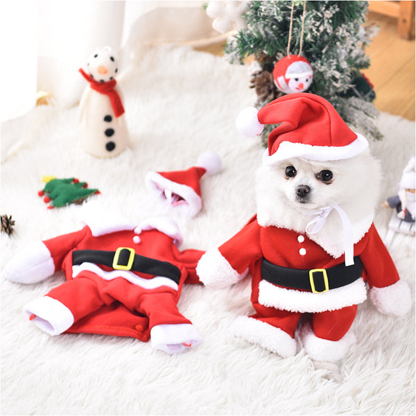 Christmas Outfit with Hat