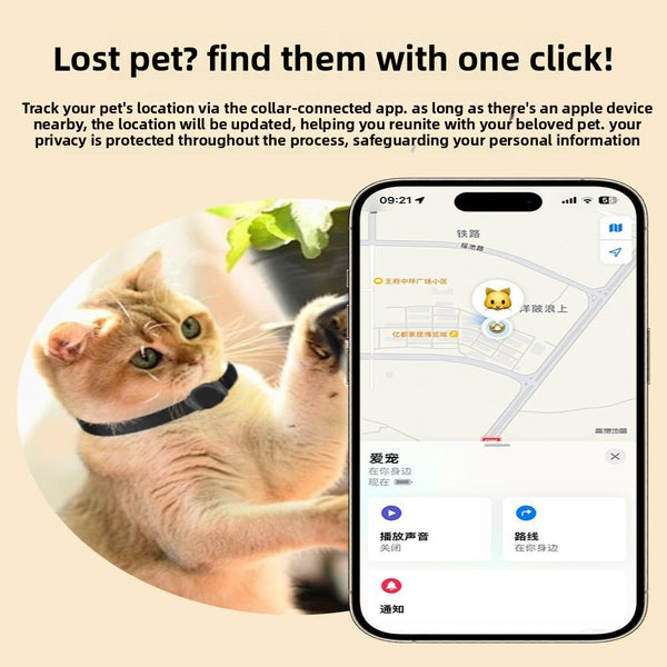 Real-Time Pet Location Monitor