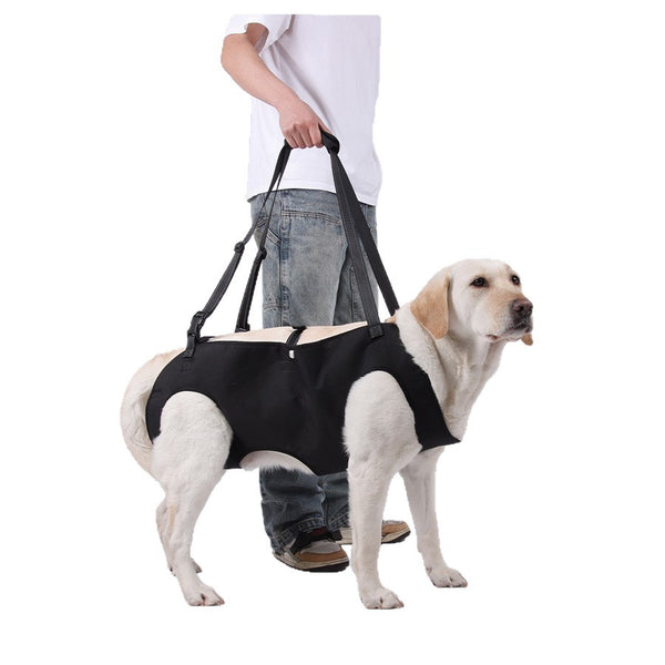Adjustable Full Body Support Carrier