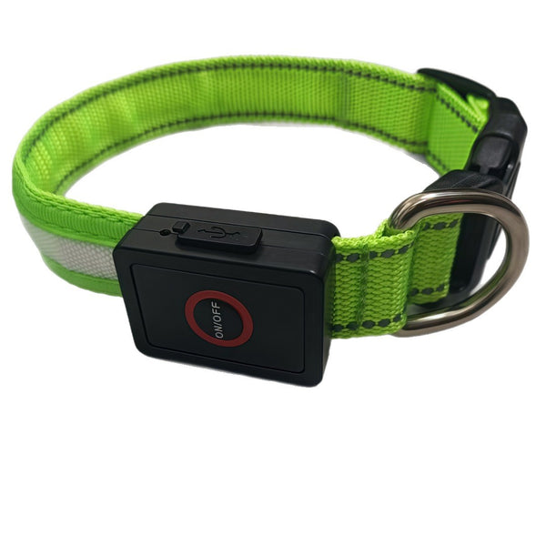 USB Rechargeable Led Dog Collar