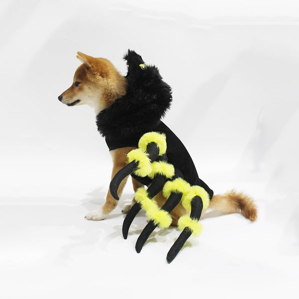 Spider Costume for Dogs