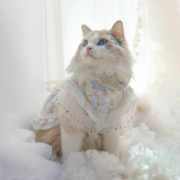Floral Cat Dress with Lace Trim