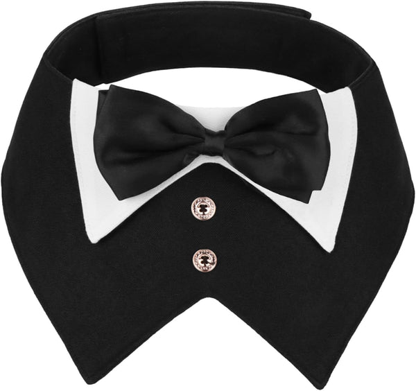 Tuxedo with Bow Tie
