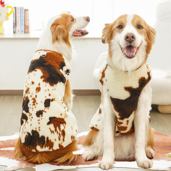 Teddy Bear Patterned Dod Sweaters