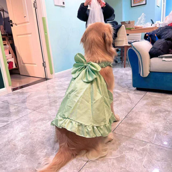 Dog Dress for Large Breeds