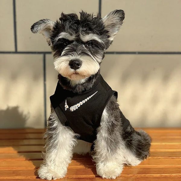 Breathable Polyester Pet Shirts