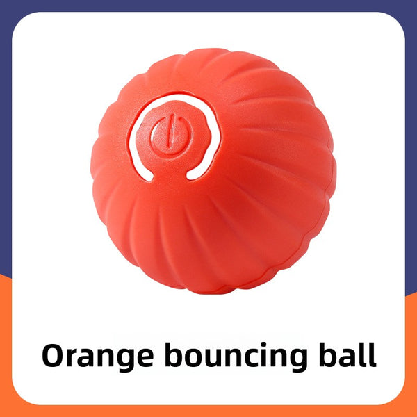 Smart Dog Bouncing Ball