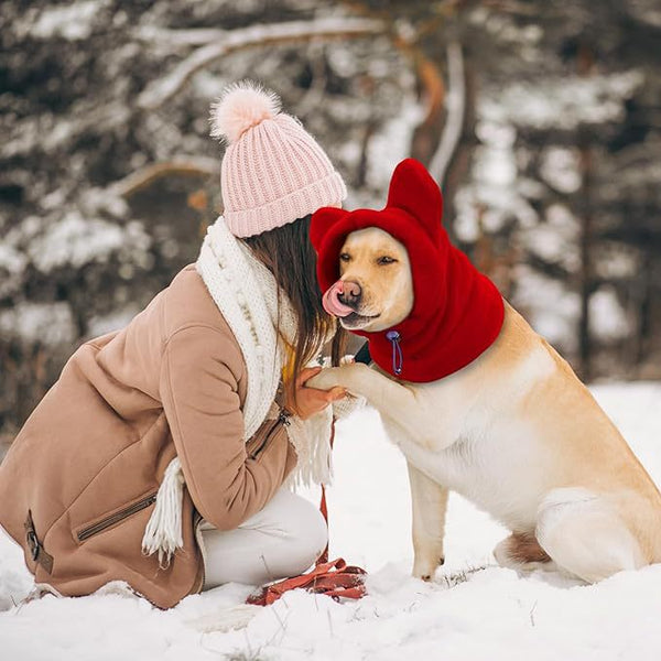 Pet Winter Hats