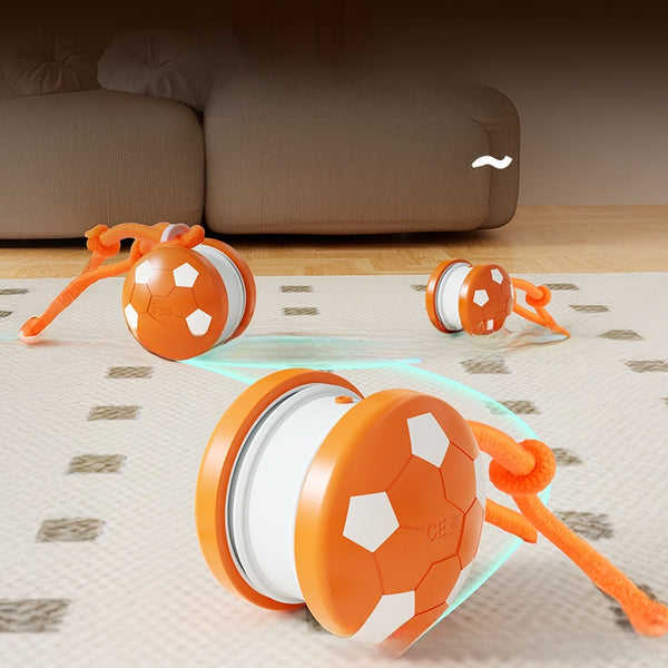 Bite Resistant Dog Toy Ball with Rope