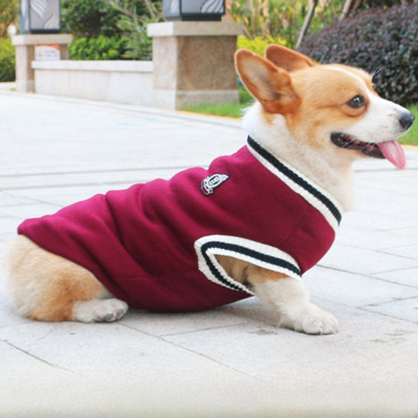 Soft and Cozy Pet Sweaters