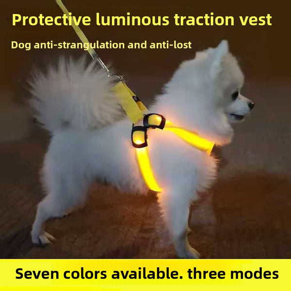 LED Illuminated Dog Harness with Adjustable Strap