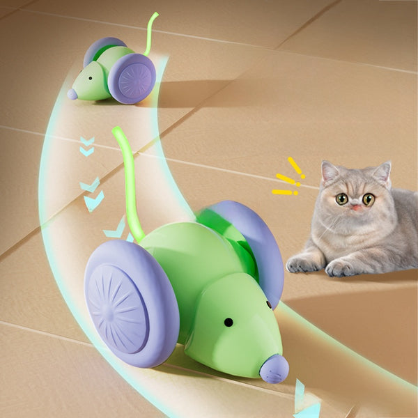 Electric Cat Teaser Toy