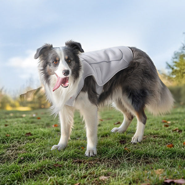 Adjustable Dog Cooling Vest