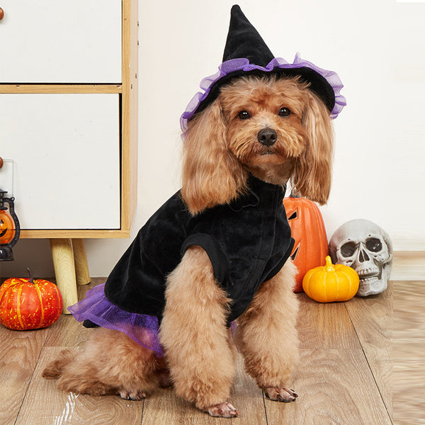 Witch Costume with Star Patch