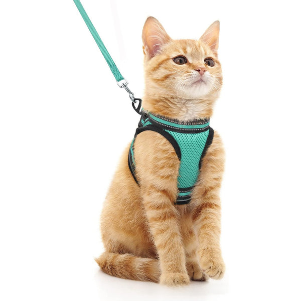 Adjustable Reflective Pet Harness with Leash
