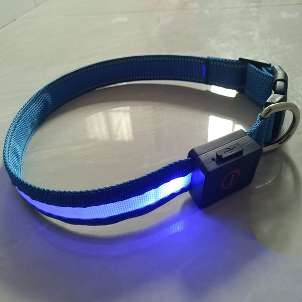 USB Rechargeable Led Dog Collar