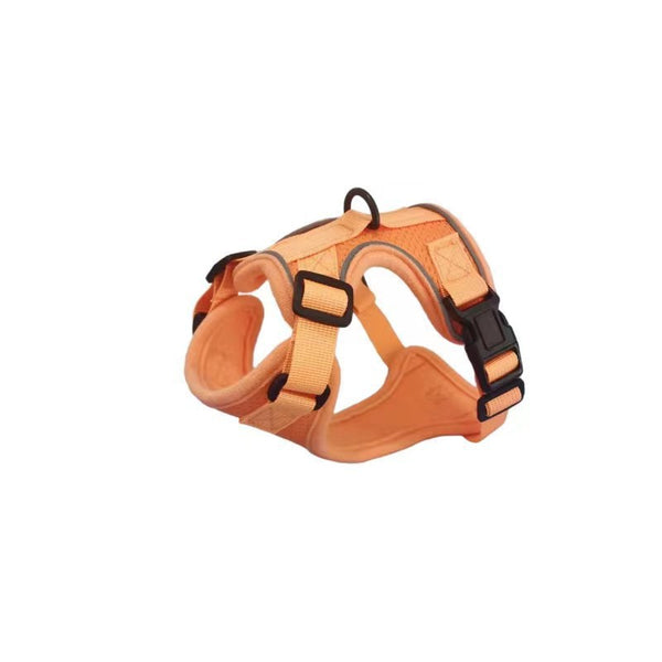 Cat Chest Harness and Leash