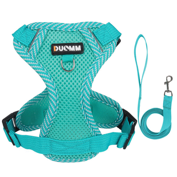 Pet Leash with Adjustable Straps