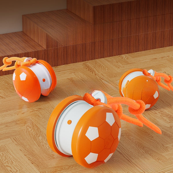 Bite Resistant Dog Toy Ball with Rope