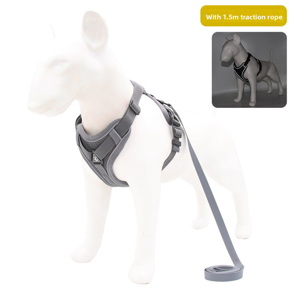 Pet Leash with Adjustable Straps