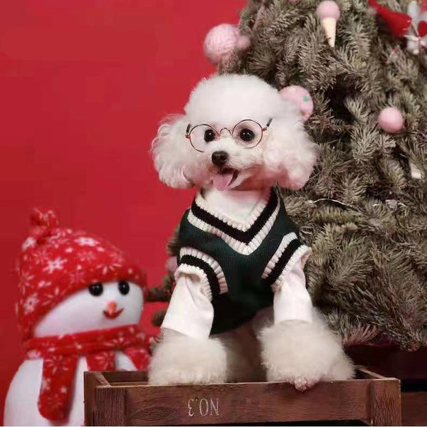 Soft and Cozy Pet Sweaters