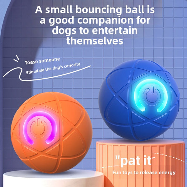 Smart Dog Bouncing Ball