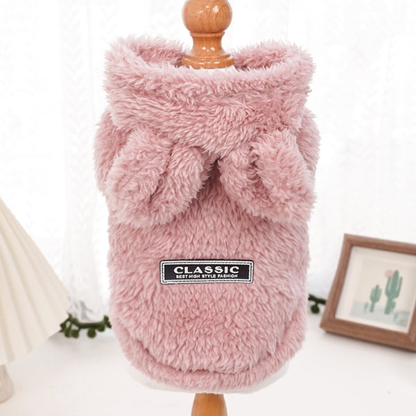 Cat Hooded with Rabbit Ears