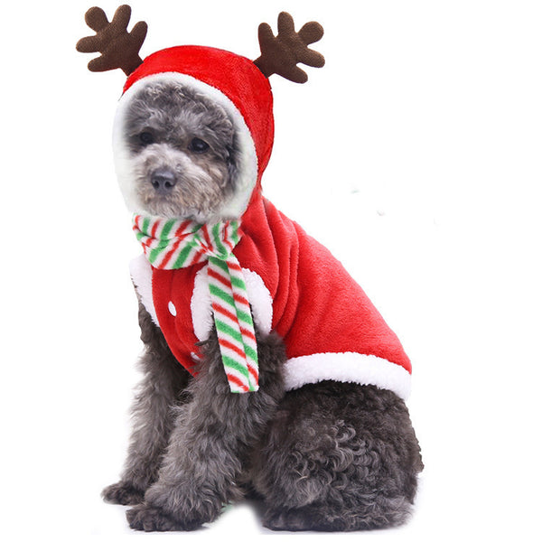 Christmas-Themed Dog Costume