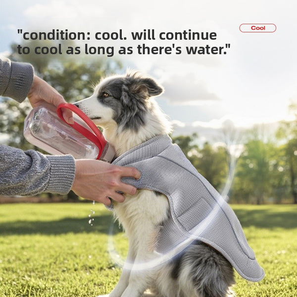Adjustable Dog Cooling Vest