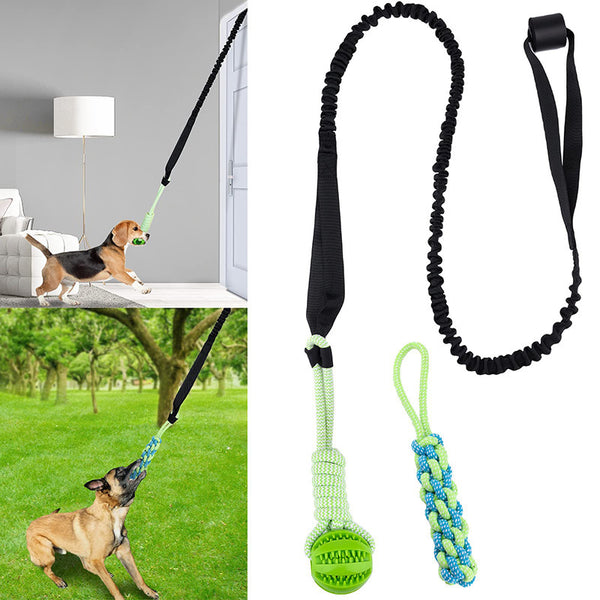 Dog Chew Toy with Rope and Ball