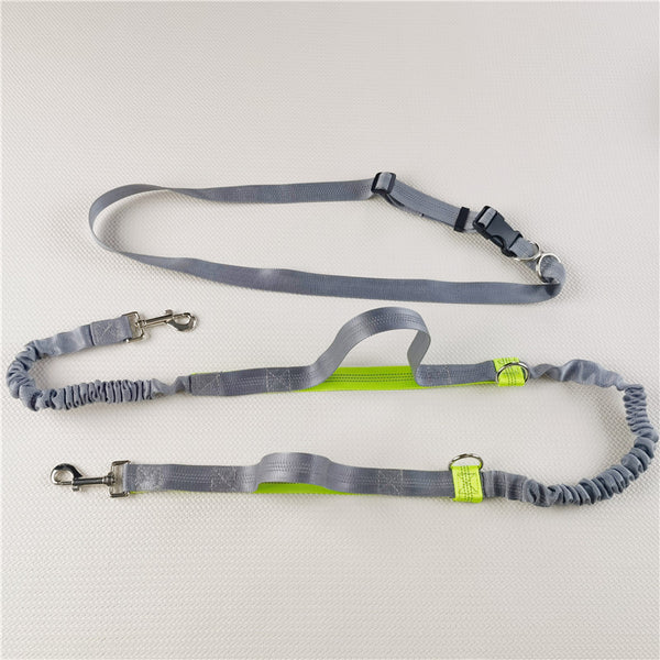 Adjustable Hands-Free Dog Leash