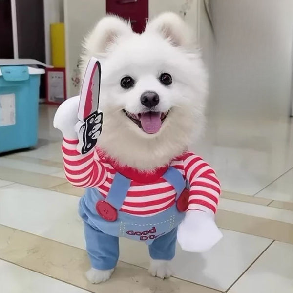 Halloween-Themed Pet Costumes