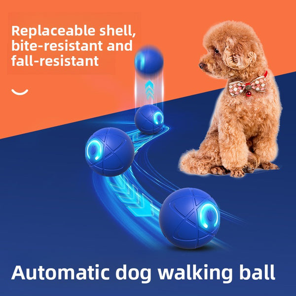 Smart Dog Bouncing Ball
