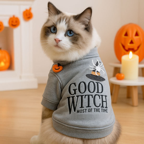 Halloween-Themed Cat Sweatshirt