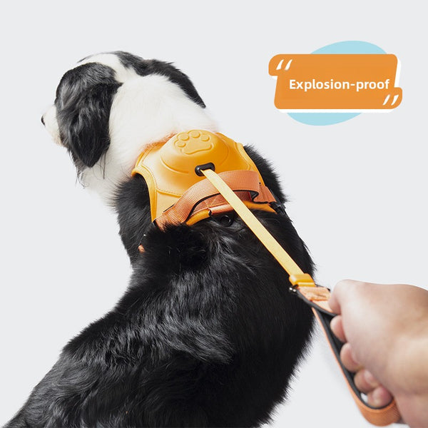 Extendable Dog Leash and Harness