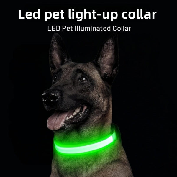 USB Rechargeable Led Dog Collar