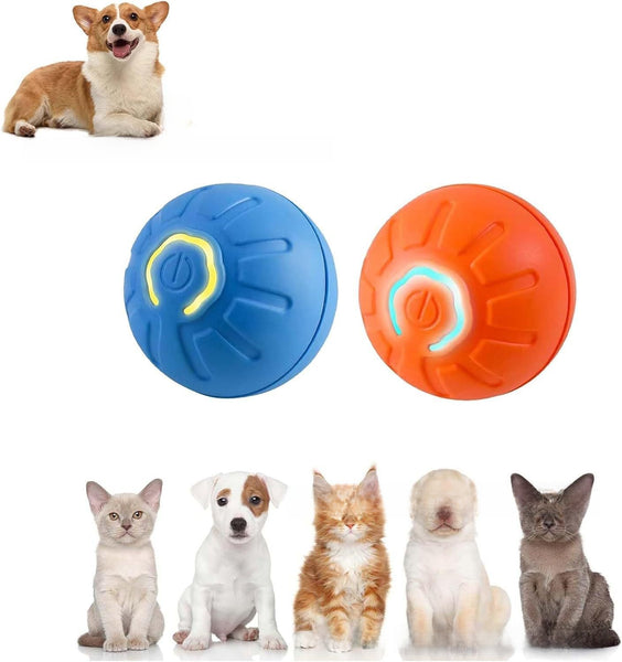Smart Dog Bouncing Ball