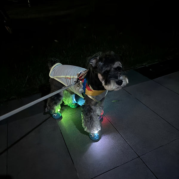 Dog Shoes with Flashing Lights