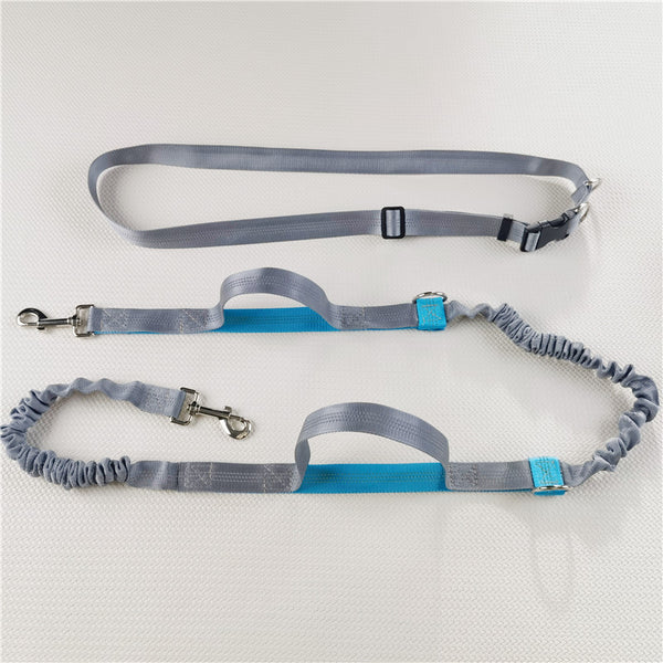 Adjustable Hands-Free Dog Leash