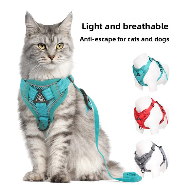 Pet Leash with Adjustable Straps