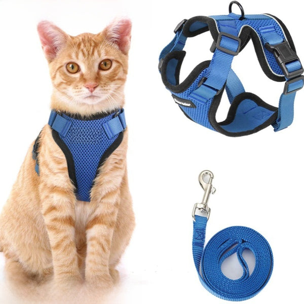 Cat Chest Harness and Leash