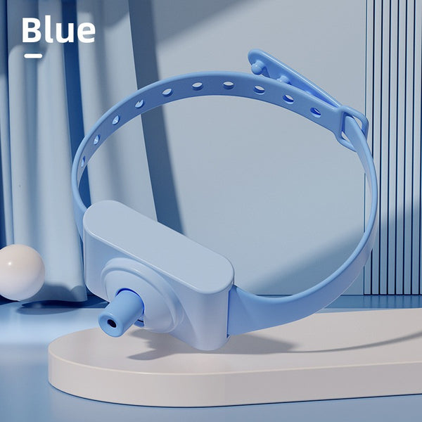 Cat Laser Collar Toy