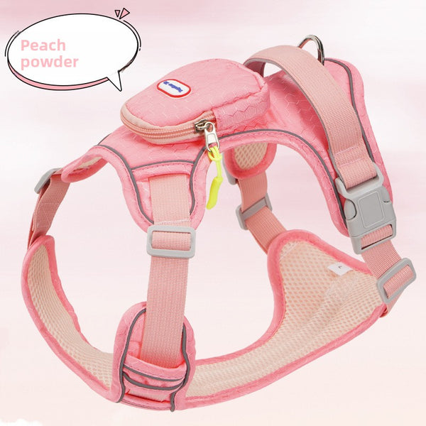 Buckle and Strap Dog Leash