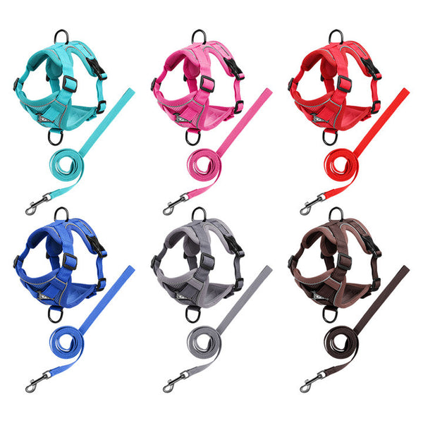 Pet Leash with Adjustable Straps