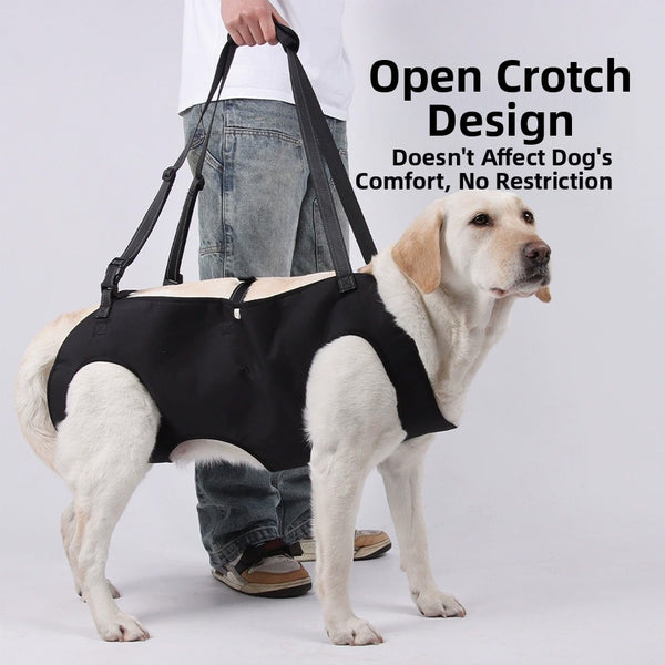 Adjustable Full Body Support Carrier