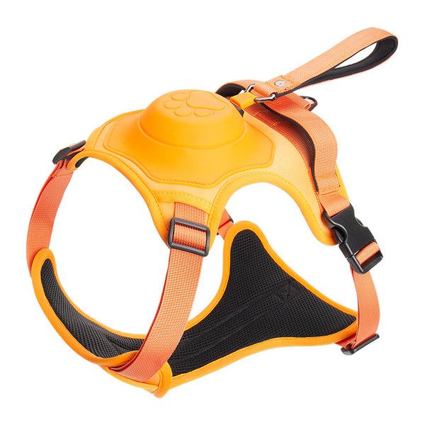 Extendable Dog Leash and Harness