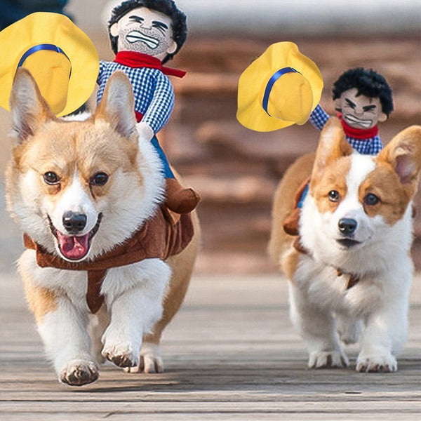 Horse Riding Costume for Dogs